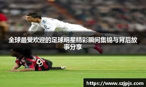 解析明尼苏达双城队如何利用球场设计减少明尼阿波利斯寒流的干扰